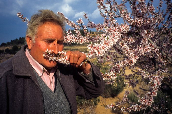 Catalan Rural People